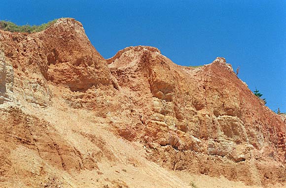Cliffs of Witton Bluff - Photo of the cliffs