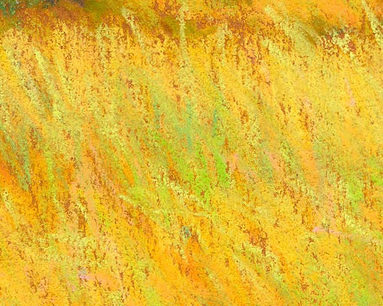 View of Hallett Cove in the Morning - Detail 3