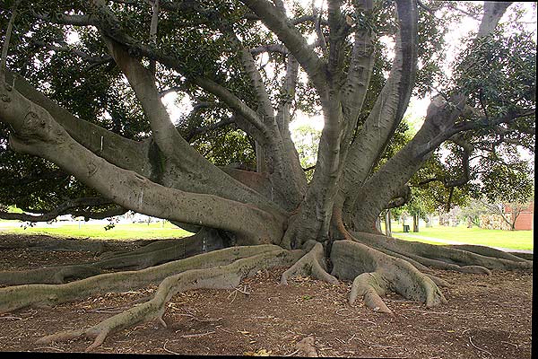 A photographic view of the subject in 2006 from a similar direction to that used for the drawing above.