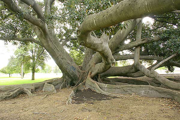 A photographic view of the subject in 2006 from a similar direction to that used for the drawing above.