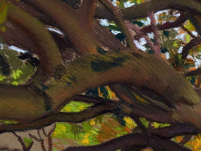 Pastel Of Moreton Bay Fig tree - Detail 3
