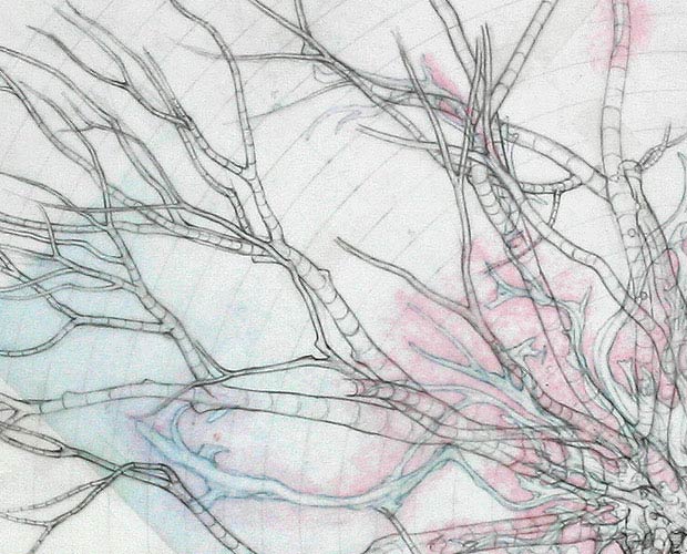 A Map of the Main Lower Boughs (showing the layer underneath) - Detail 2