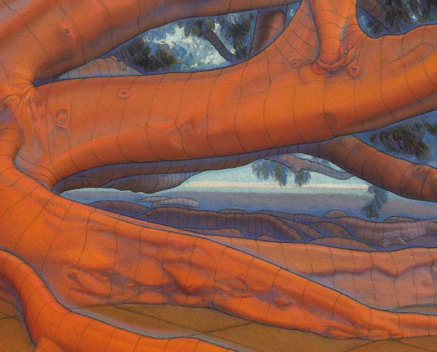 The Orange Tree - Form and Space - Detail 2