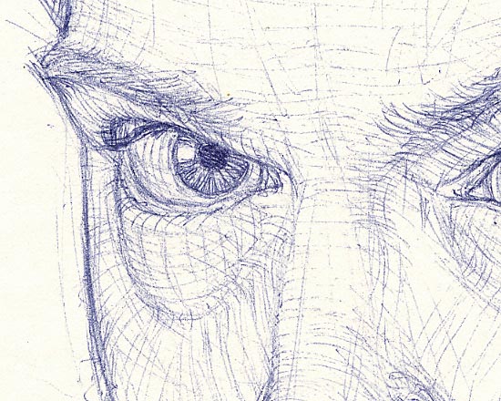 Self Portrait in Biro - Detail 2