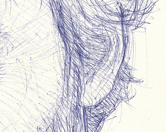 Self Portrait in Biro - Detail 3