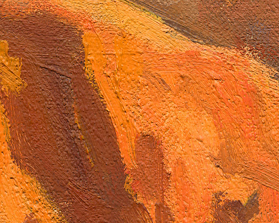 Middle Headland, Witton Bluff - Detail 2