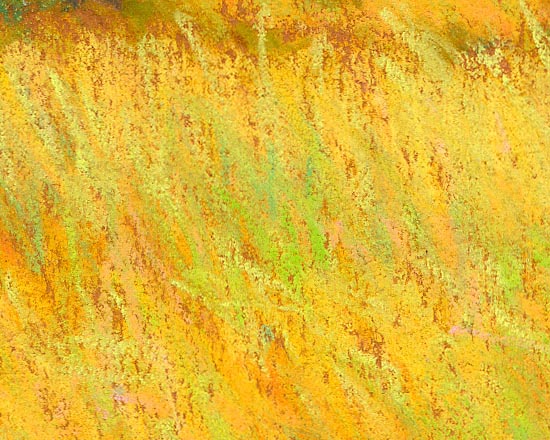View of Hallett Cove in the Morning - Detail 3