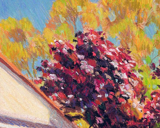 Our Prunus in the Sun - Detail 2