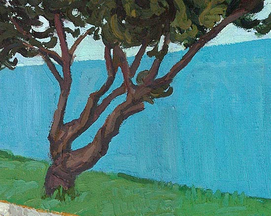 Olive Tree in Cottesloe Avenue - Detail 1