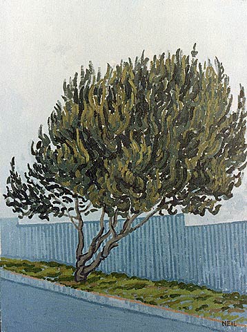 Olive Tree in Cottesloe Avenue - First version