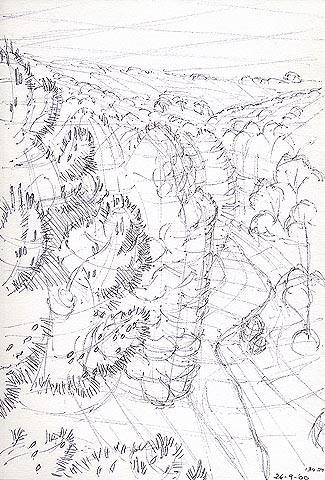 3 Main Depths in the Pine Forest at Flinders University - Preliminary drawing